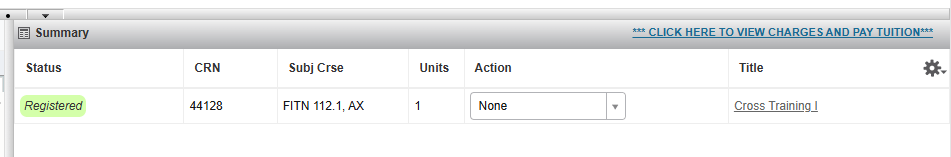 screenshot of successful registration in the registration portal