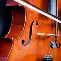 closeup on a cello