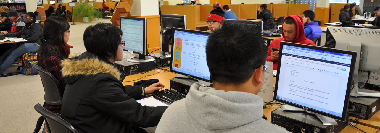 skykline college students at computers