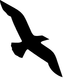 uSOAR Bird Image uSOAR Bird Image