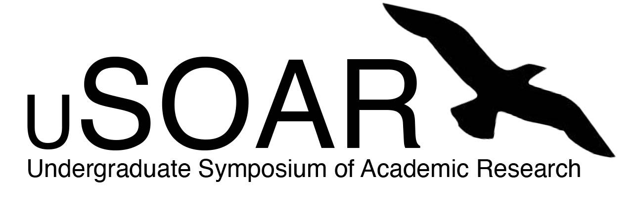 uSOAR Logo uSOAR Logo